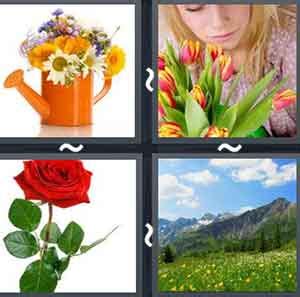 4 pics 1 word level 641|Word Finder .